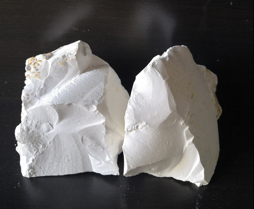 ��̌������V�V